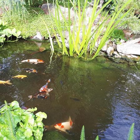 Apartmán KOI Appartamento Veltrusy Esterno foto